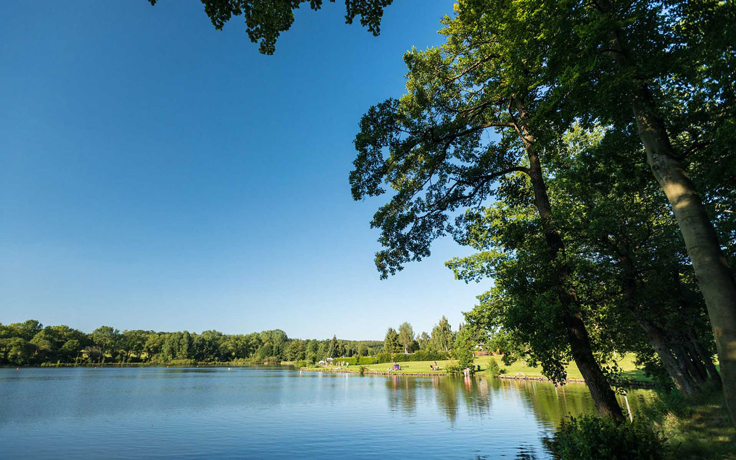 Camping Park Weiherhof